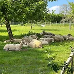 Bed & Breakfast Ferme De La Simonniere