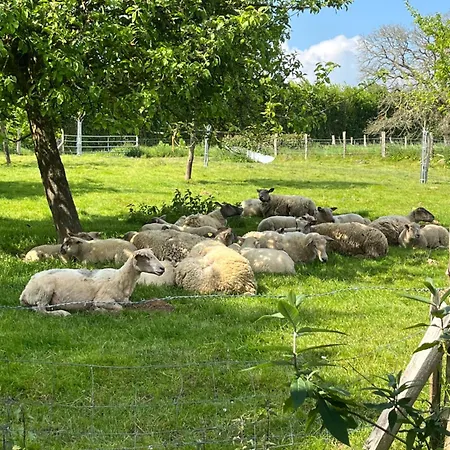 לינה וארוחת בוקר Ferme De La Simonniere