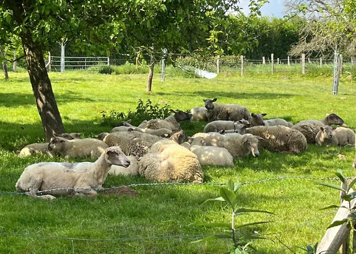Frühstückspension Ferme De La Simonniere